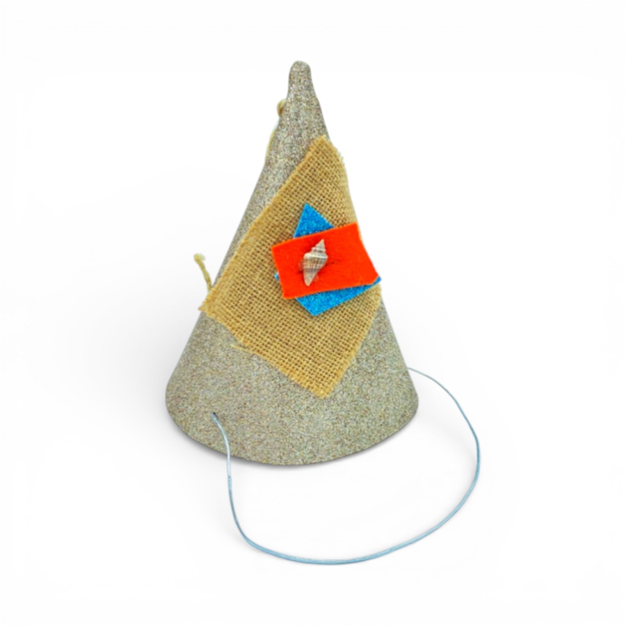 Chapeau De Fête Anniversaire Vaiana