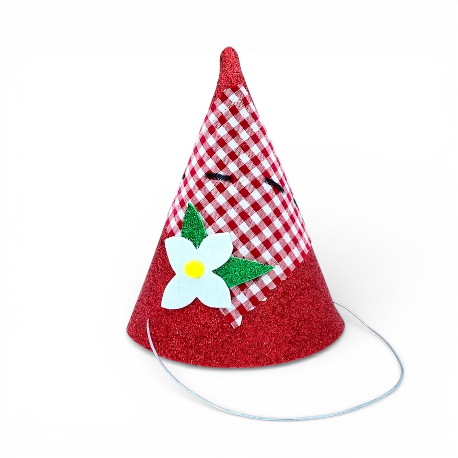 Chapeaux De Fête Pique-Nique