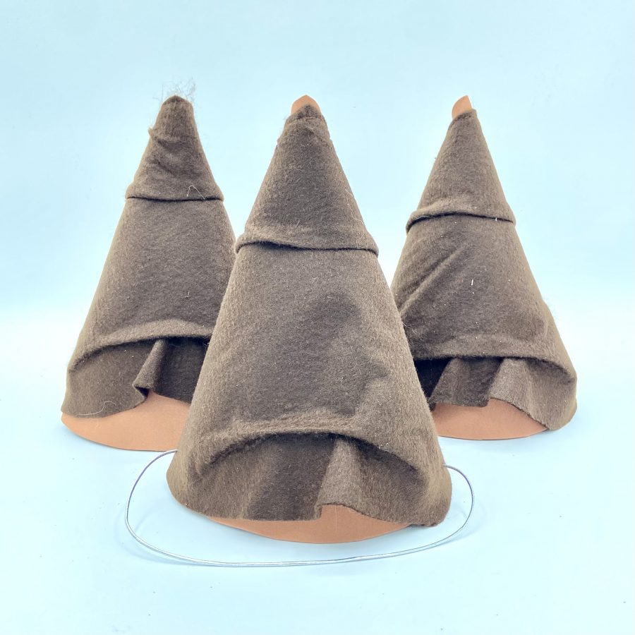 Chapeau De Fête Harry Potter